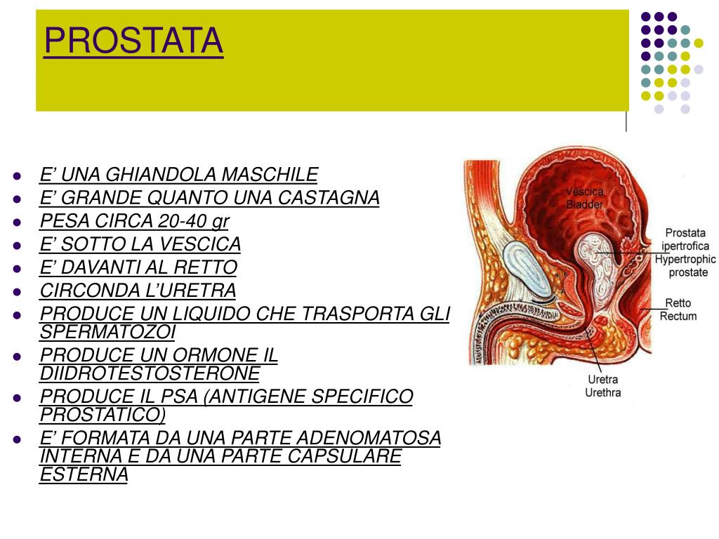 proprostatitis.com