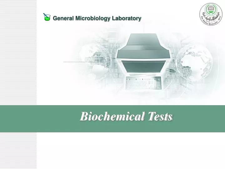 biochemical tests n.