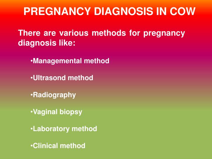 PPT - PREGNANCY DIAGNOSIS IN COW PowerPoint Presentation, free download -  ID:587928