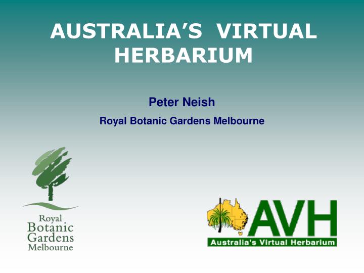 australia s virtual herbarium n.