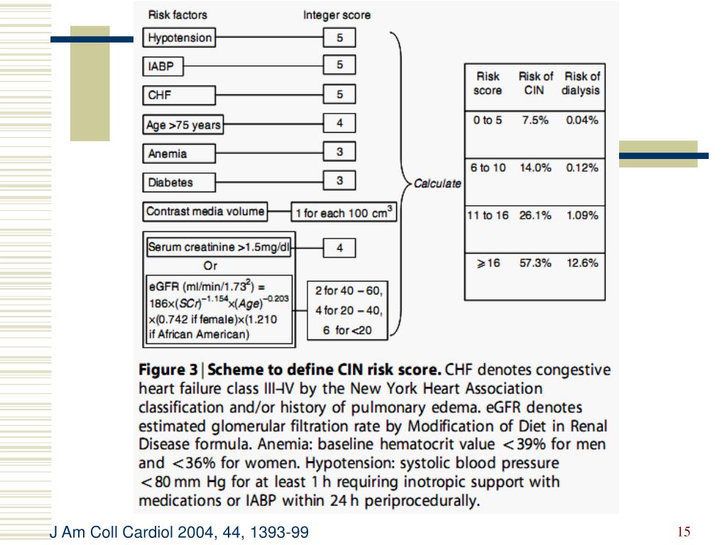 Ppt Contrast Induced Nephropathy And Nephrogenic Systemic Fibrosis Powerpoint Presentation