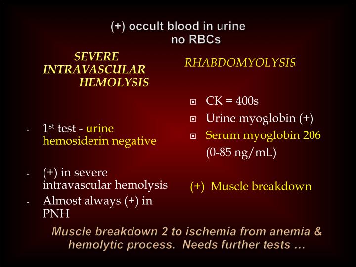 PPT Hemolytic Anemias PowerPoint Presentation ID588700