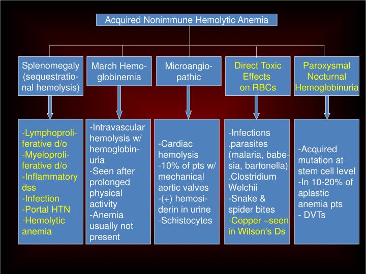 PPT - Hemolytic Anemias PowerPoint Presentation - ID:588700