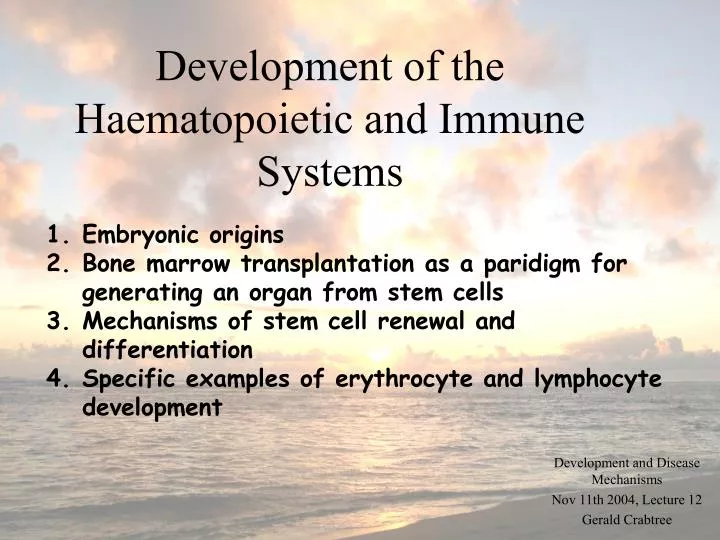 development of the haematopoietic and immune systems n.
