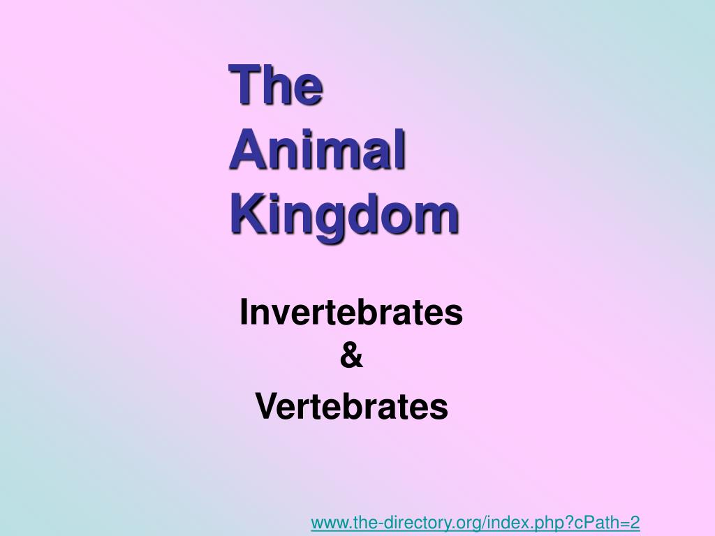 PPT - The Animal Kingdom PowerPoint Presentation, free download - ID:589941 PPT - The Animal Kingdom PowerPoint Presentation, free download - ID:589941