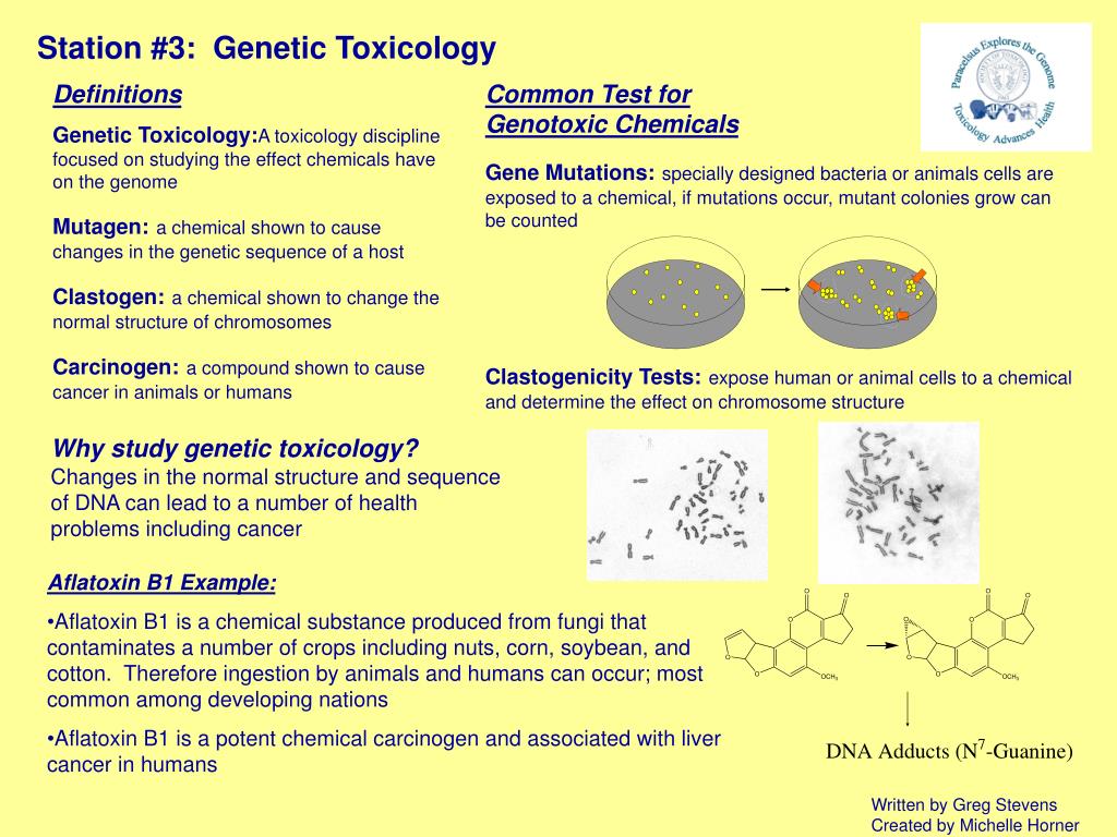 genetic toxicology ppt V. Intro to genetic toxicology. Ppt a small dose of cancer.