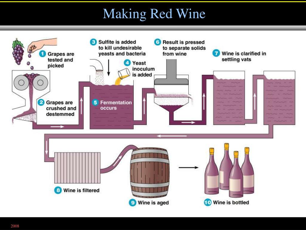 PPT Chapter 28 PowerPoint Presentation, free download ID590517