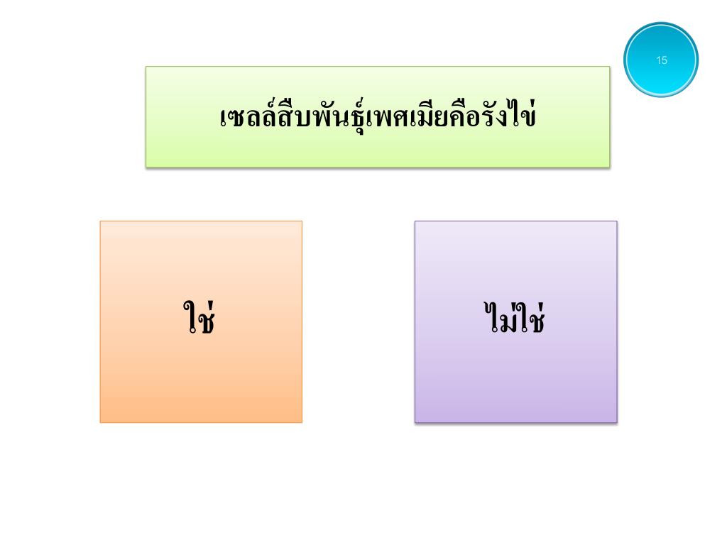 ข้อ ใด ไม่ใช่ ส่วนประกอบ ของ ดิน png