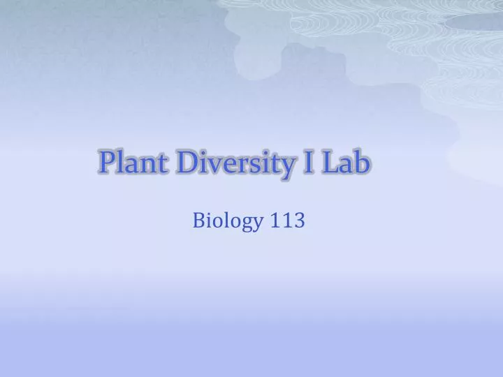 plant diversity i lab n.