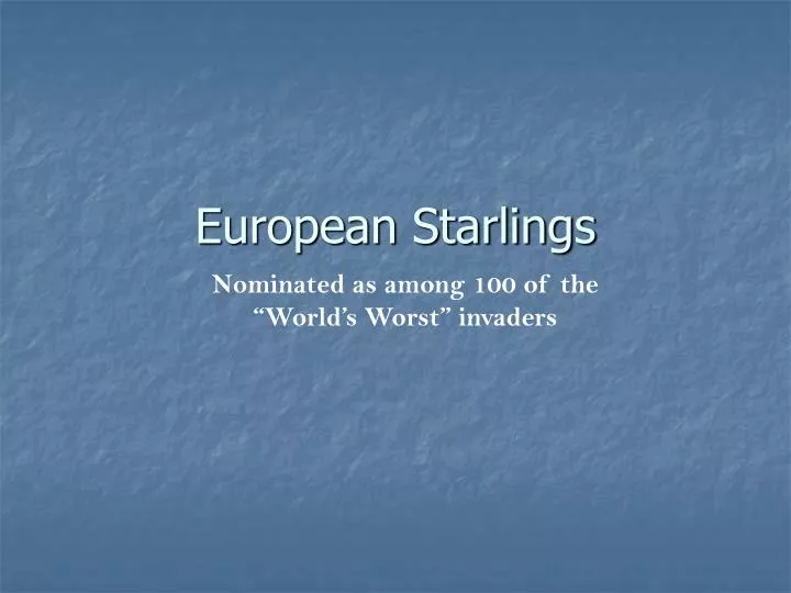 european starlings n.