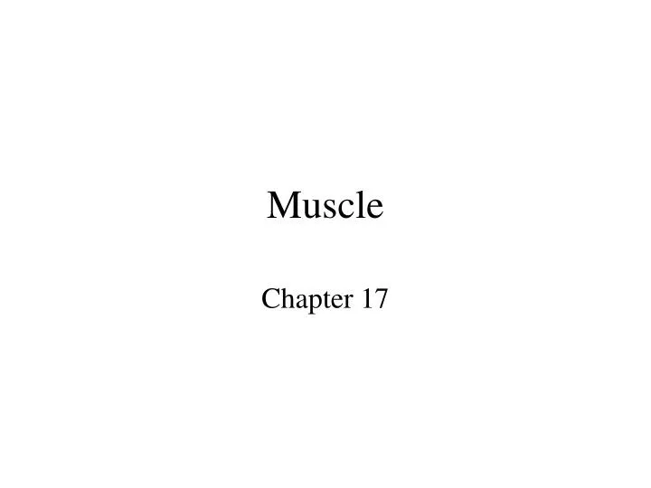 muscle n.