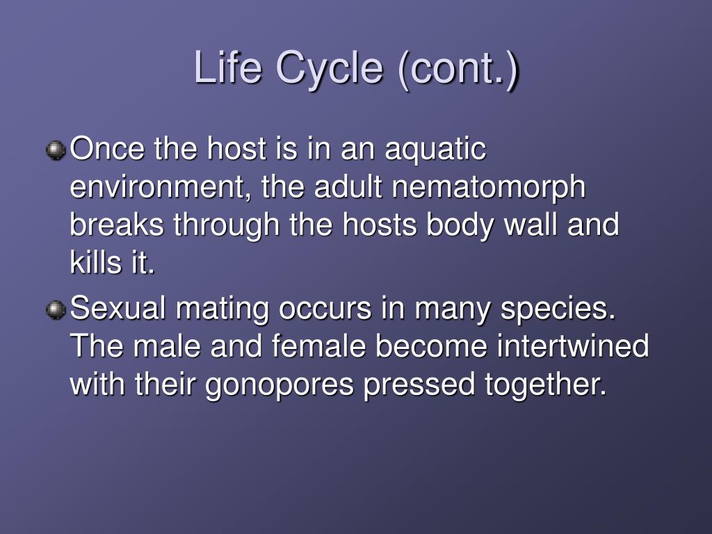 download nematomorpha life cycle download nematomorpha life cycle