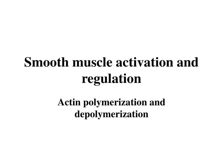 smooth muscle activation and regulation n.