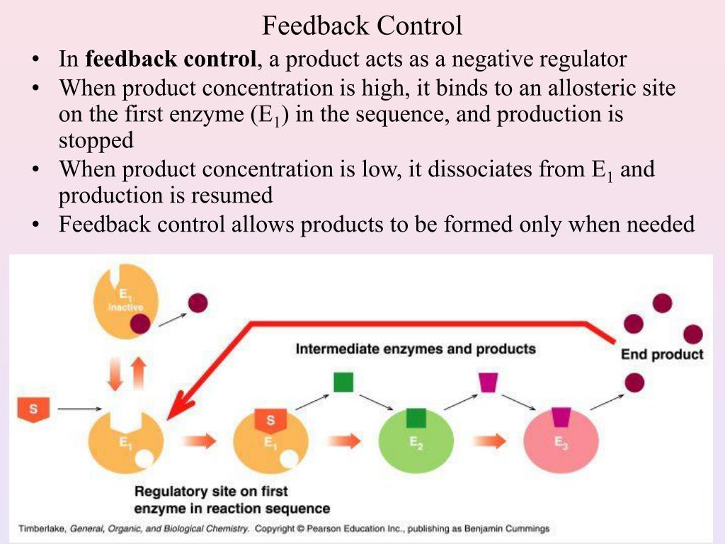 PPT Regulation of Enzyme Activity PowerPoint