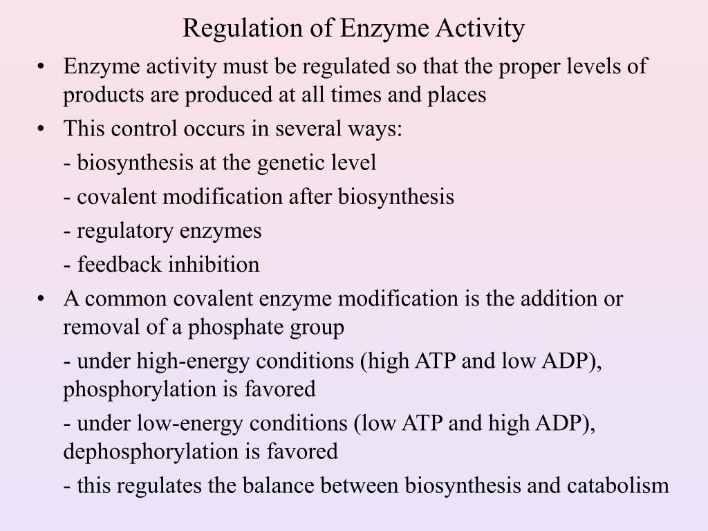 PPT Regulation of Enzyme Activity PowerPoint