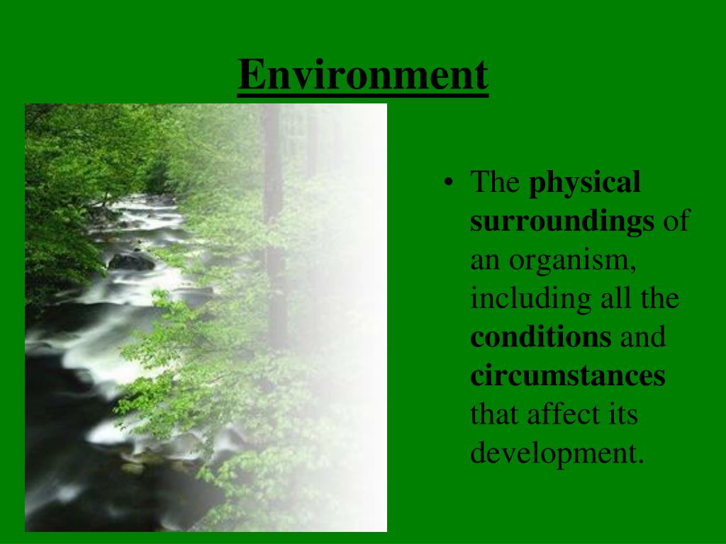 presentation topics about environment
