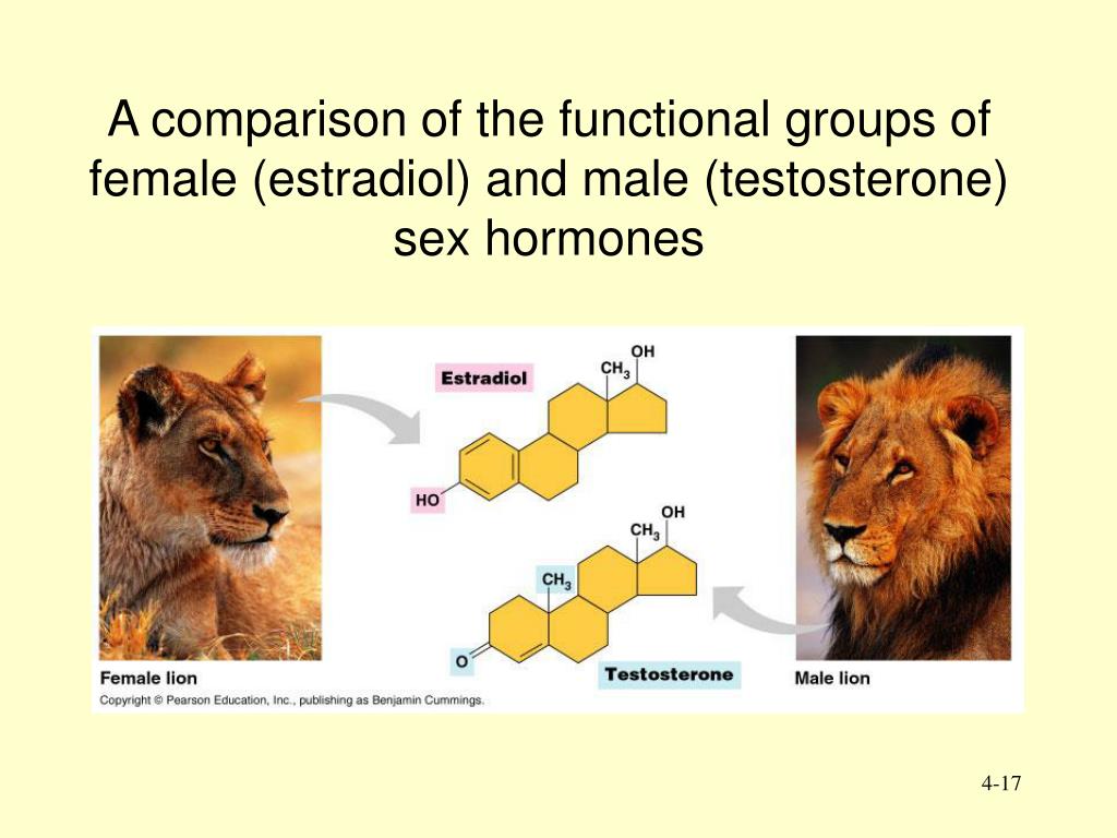 Ppt Carbon And The Molecular Diversity Of Life Powerpoint Free