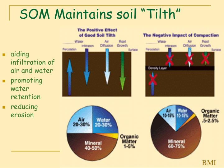 ppt-lecture-10-a-soil-organic-matter-som-powerpoint-presentation