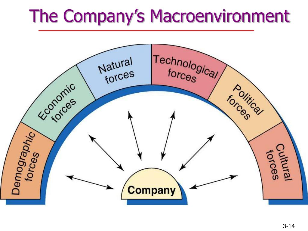 PPT - The Marketing Environment PowerPoint Presentation, free download