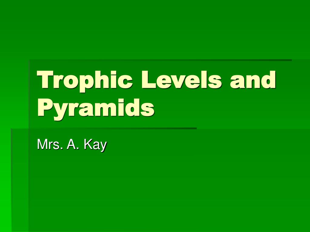 Ppt Trophic Levels And Pyramids Powerpoint Presentation Free Download Id