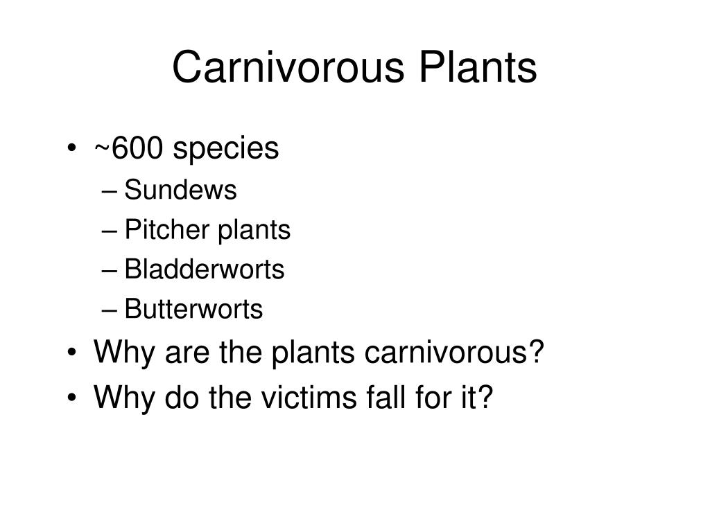 PPT Carnivorous Plants PowerPoint Presentation, free download ID600557
