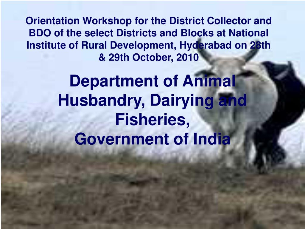 PPT - Department of Animal Husbandry, Dairying and Fisheries, Government of  India PowerPoint Presentation - ID:600759