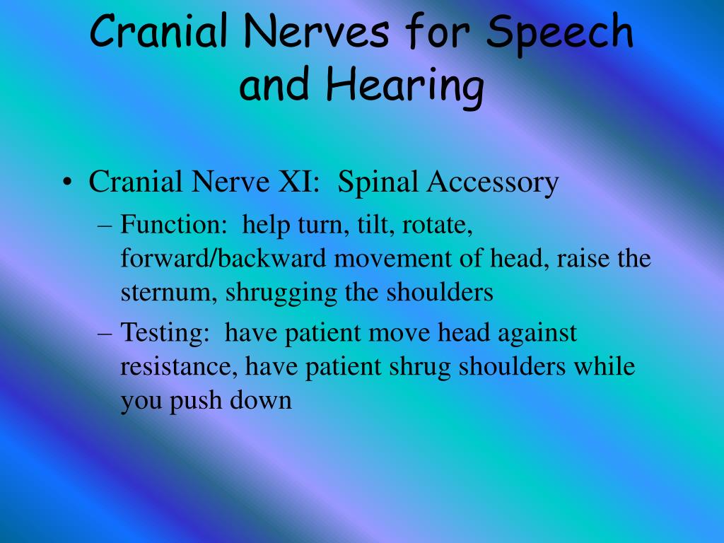 PPT - Cranial Nerve Evaluation Acoustic Neuroma and the Facial Nerve
