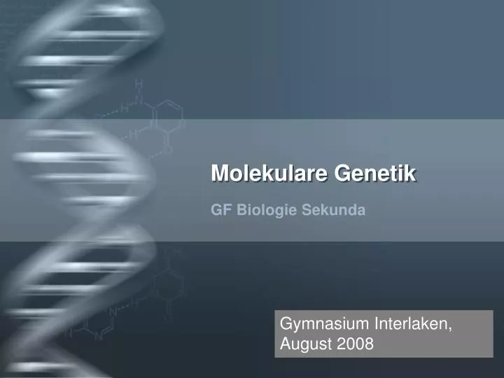 molekulare genetik n.