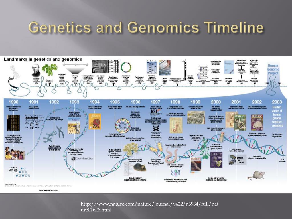 PPT - Sequencing Cancer Genomes PowerPoint Presentation, free download ...