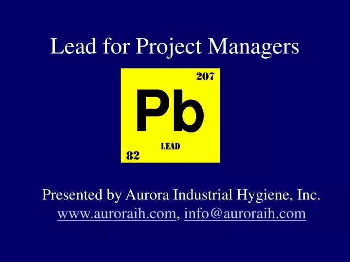 lead for project managers n.