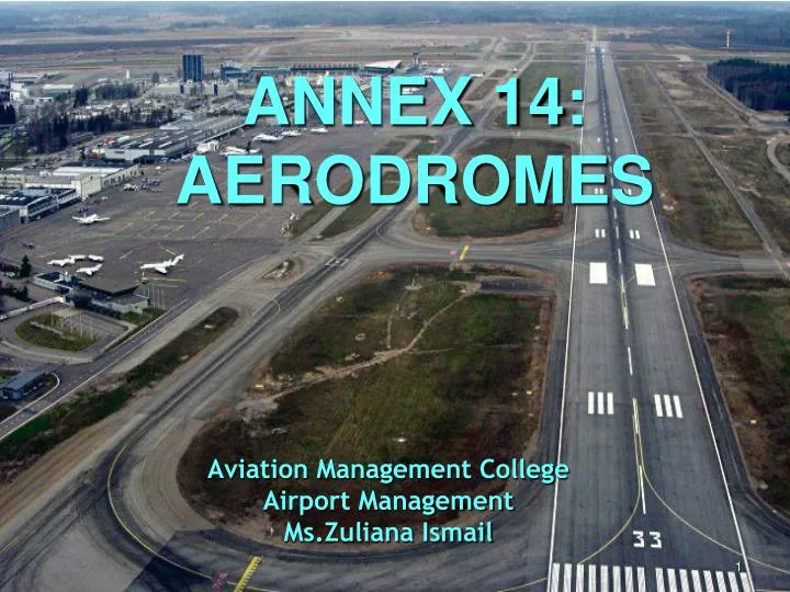 aviation management college airport management ms zuliana ismail n.