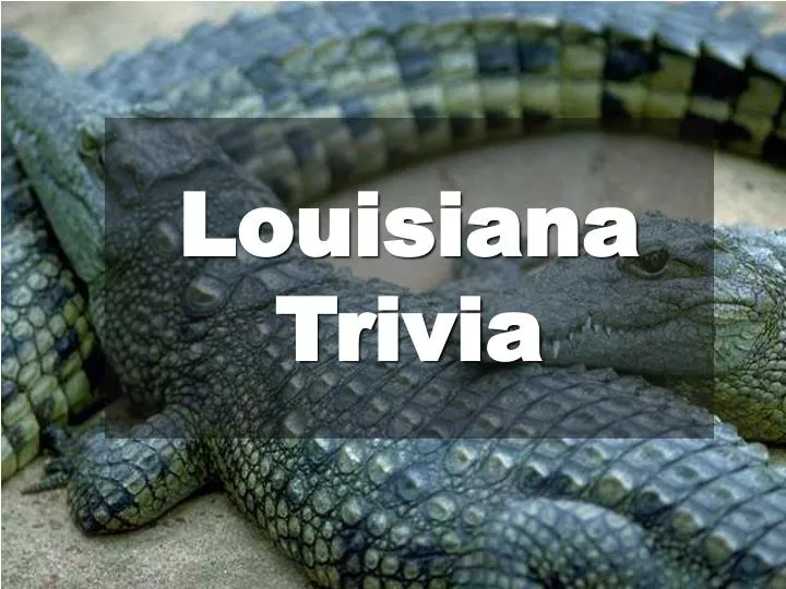 PPT Louisiana Trivia PowerPoint Presentation, free download ID605811
