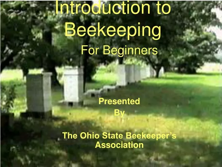 introduction to beekeeping n.