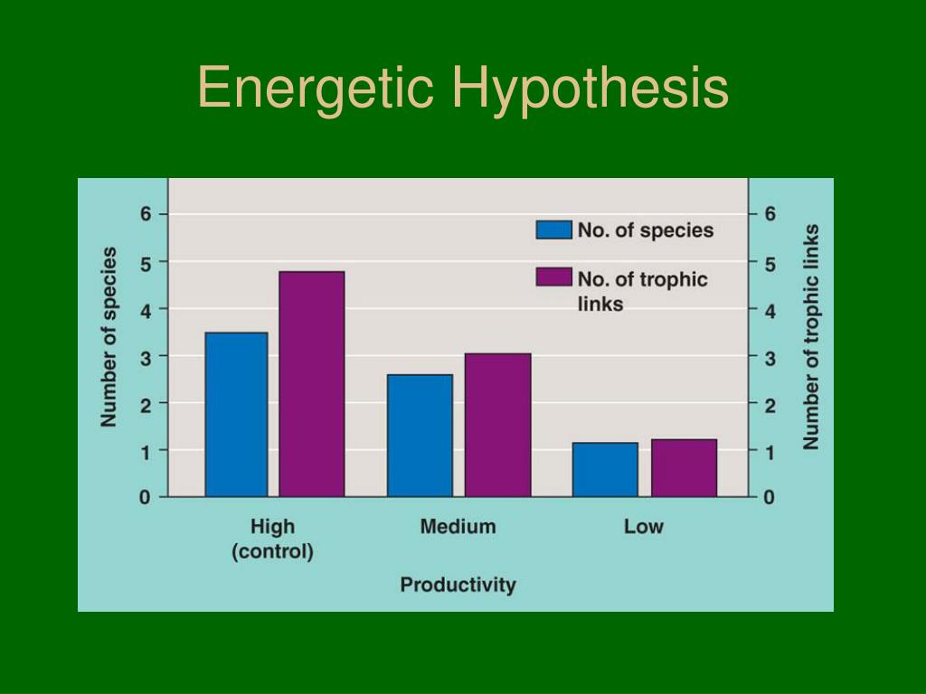 what is a energetic hypothesis