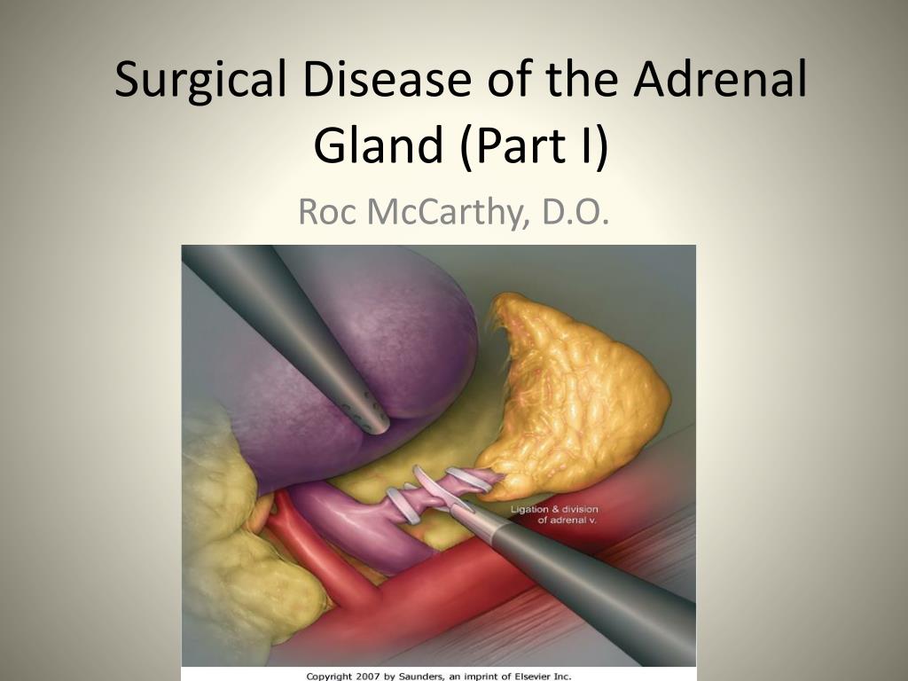 adrenal gland malfunction adrenal gland malfunction