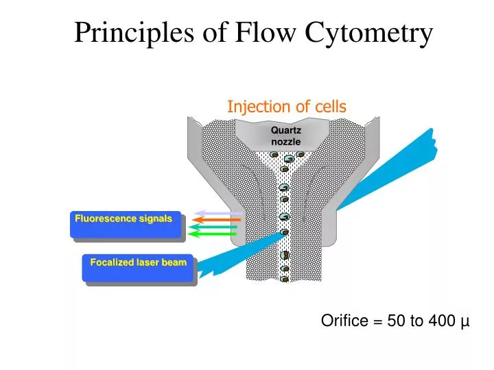 principles of flow cytometry n.