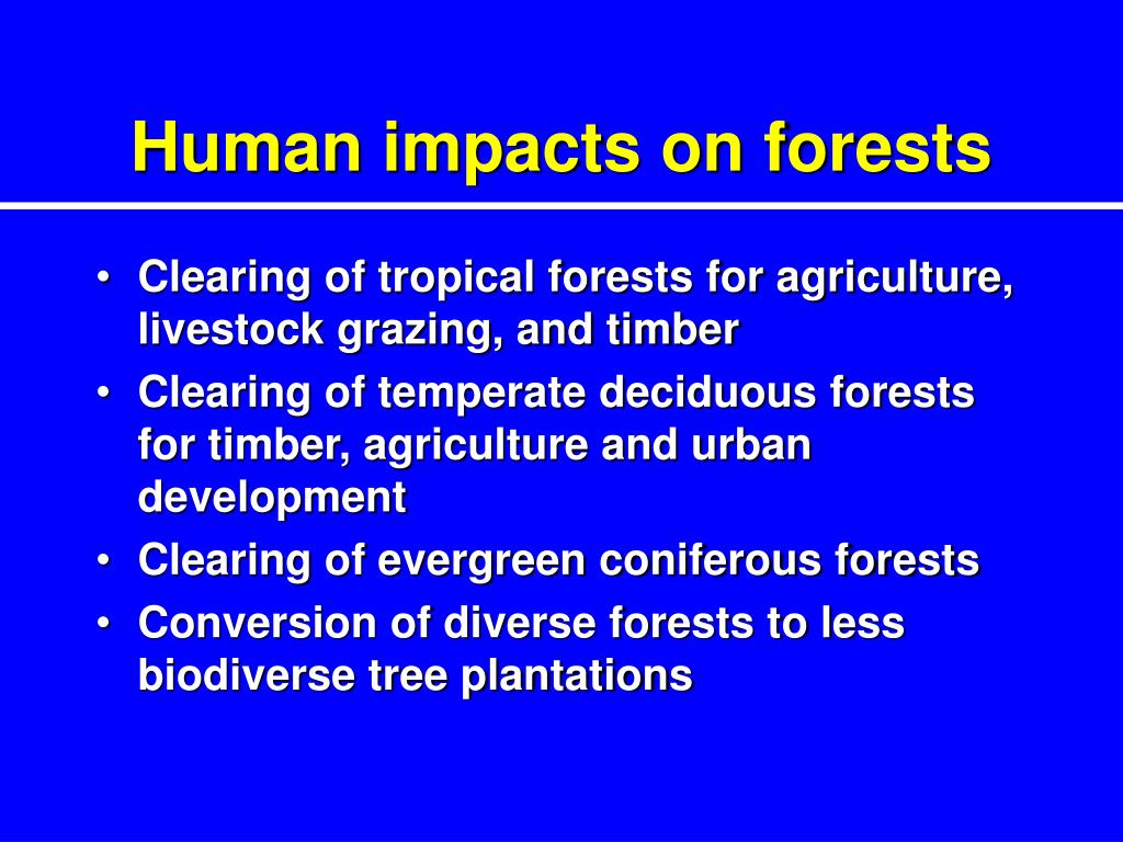 assignment topic human impacts on forests