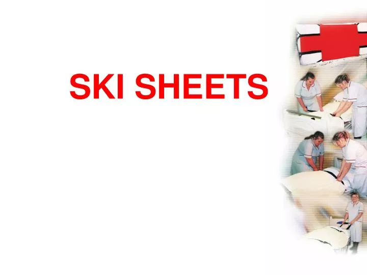 ski sheets n.