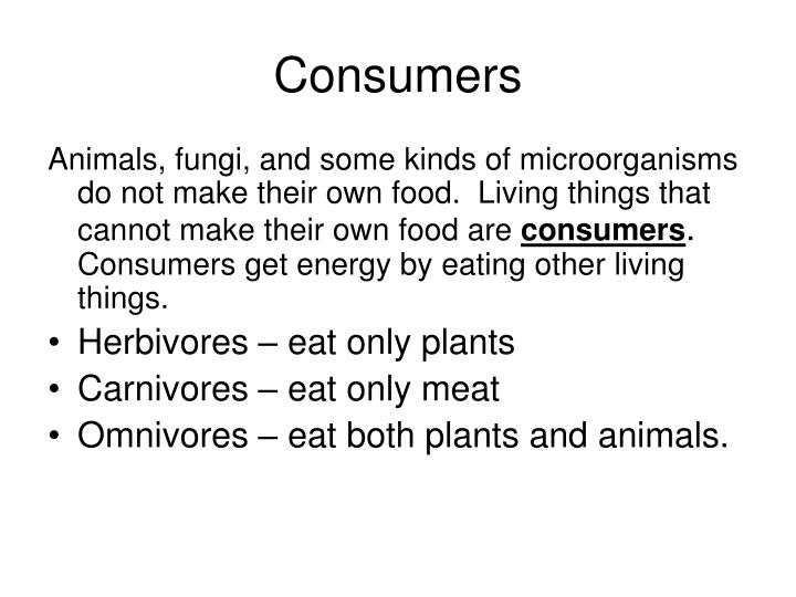 Most Decomposers Make Their Own Food Through Photosynthesis Most Decomposers Make Their Own Food Through Photosynthesis