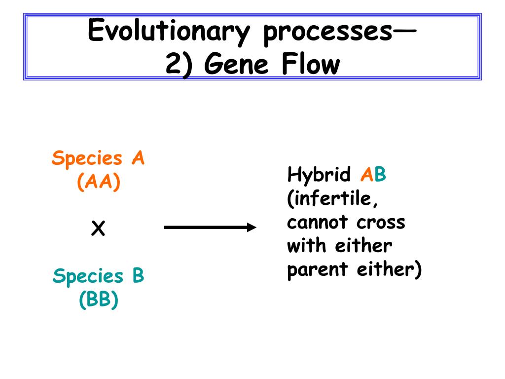 Gene Flow.