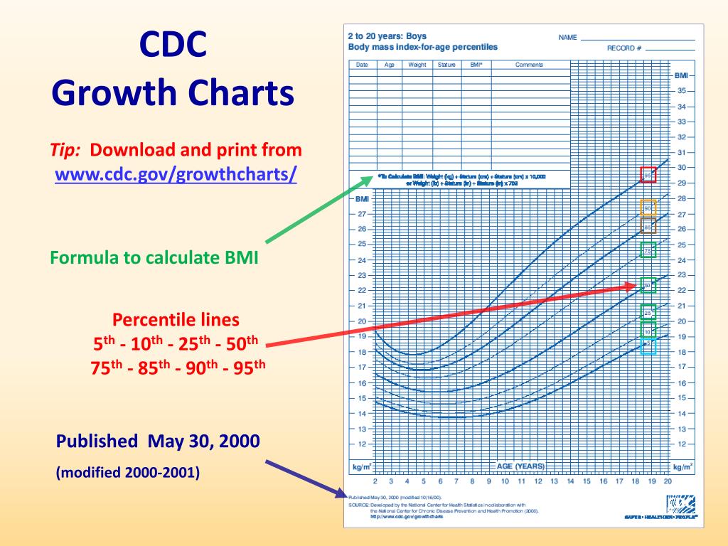 Cdls Growth Chart