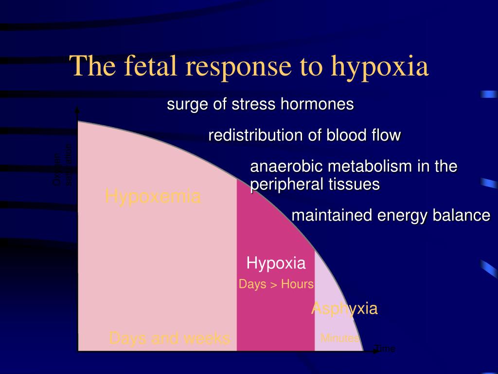 PPT - Perinatal Asphyxia PowerPoint Presentation - ID:614777