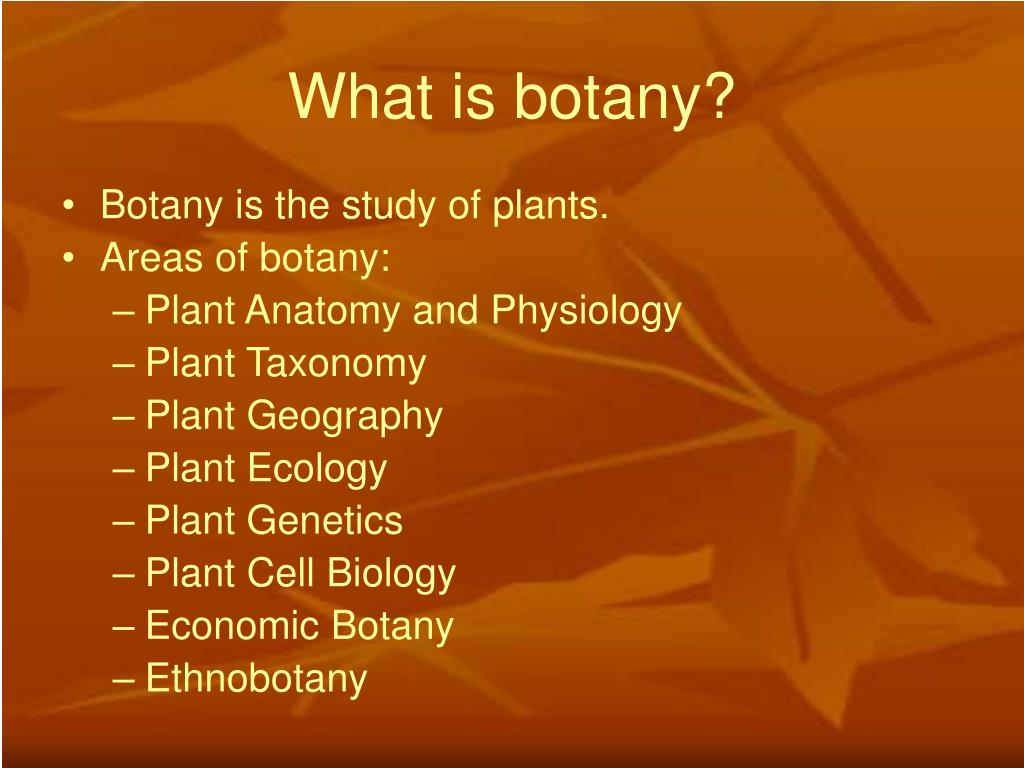 botany assignment introduction to plants