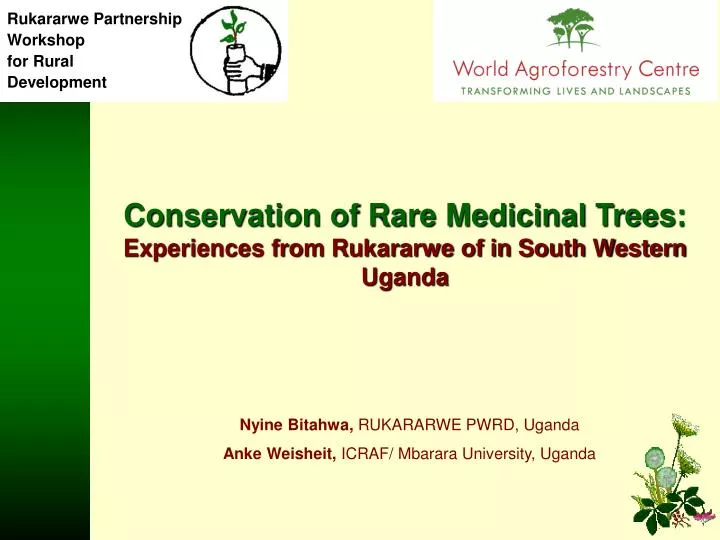 conservation of rare medicinal trees experiences from rukararwe of in south western uganda n.
