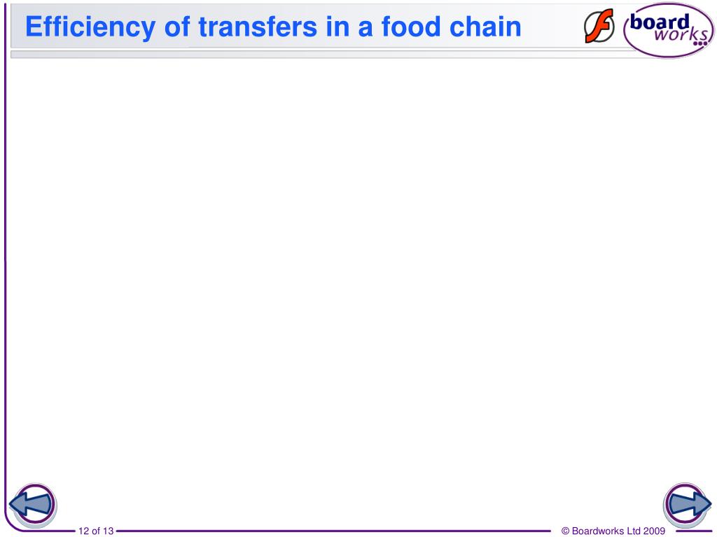 Energy flow through ecosystems PowerPoint Presentation free Biology Diagrams