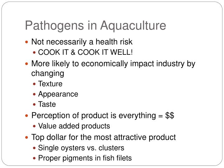 PPT - Fish Health and Disease PowerPoint Presentation - ID:618042