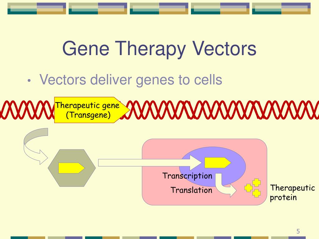 gene therapy for scid gene therapy for scid