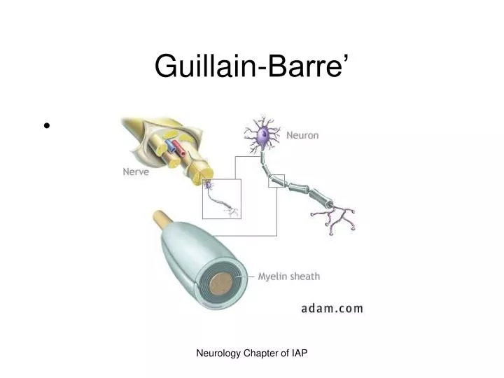 Ppt Guillain Barre Powerpoint Presentation Free Download Id 622620