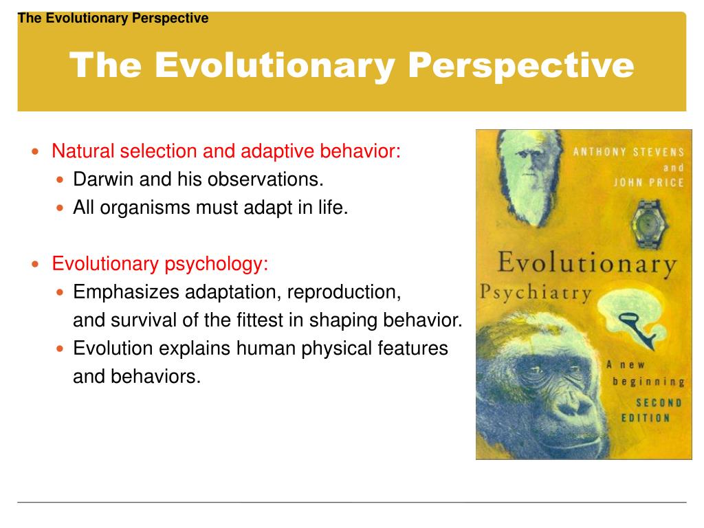 evolutionary perspective example
