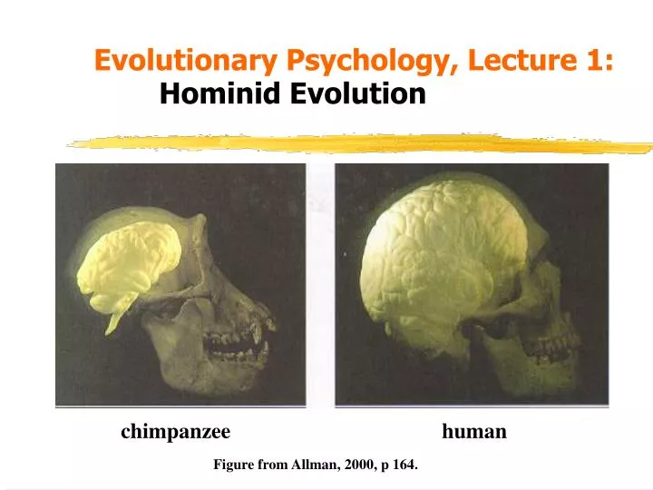 what is evolutionary psychology quizlet